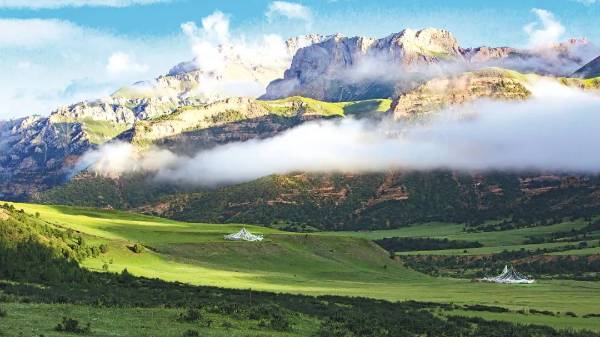 1736906815329703.jpg 1.jpg