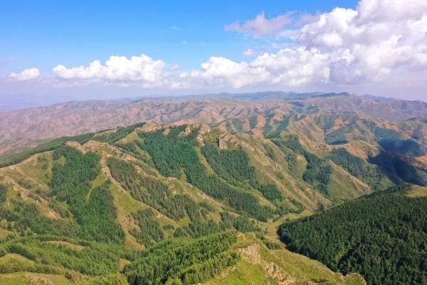 1736907280711732.jpg 3.jpg