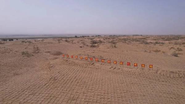 1736907287995291.jpg 4.jpg