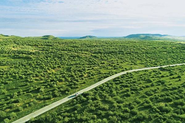 1736907294806551.jpg 5.jpg