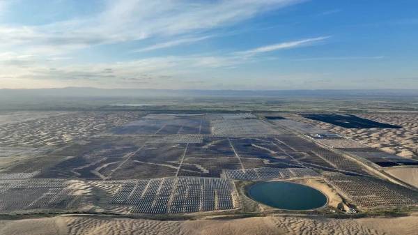 1736907301928474.jpg 6.jpg