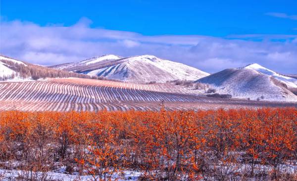 1736907308209936.jpg 7.jpg