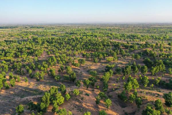 1737004268702515.jpg 20250115fc8cdc39d92349e49d3c21ce674a1fe5_935a01bdb1f64019ada46ca7f672b3ef.jpg