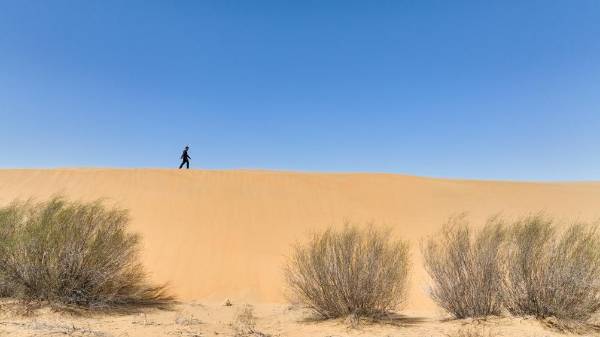 1737004308267613.jpg 20250115fc8cdc39d92349e49d3c21ce674a1fe5_cca8fafcf5ba4c25be00bd4659bb931b.jpg