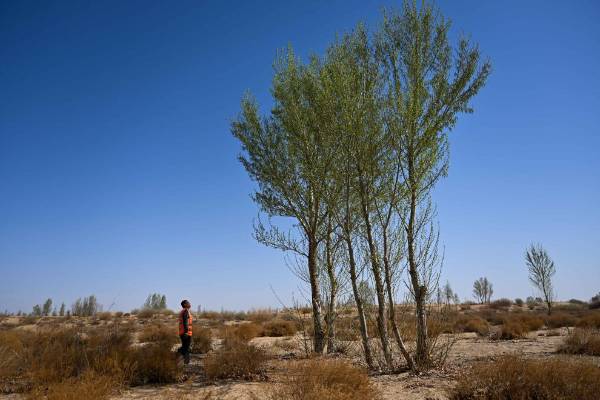 1737004314541101.jpg 20250115fc8cdc39d92349e49d3c21ce674a1fe5_e8eb333de65645a2b23fedcd8a2f475e.jpg