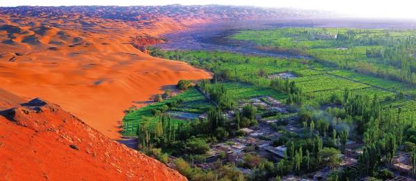 1737685851565526.jpg 9.jpg