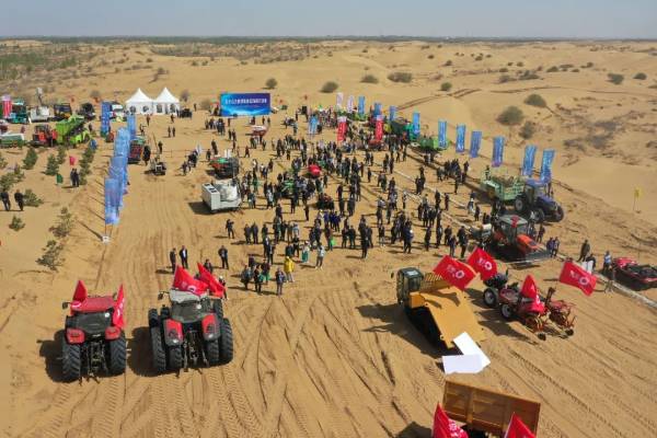 1737685857854529.jpg 10.jpg