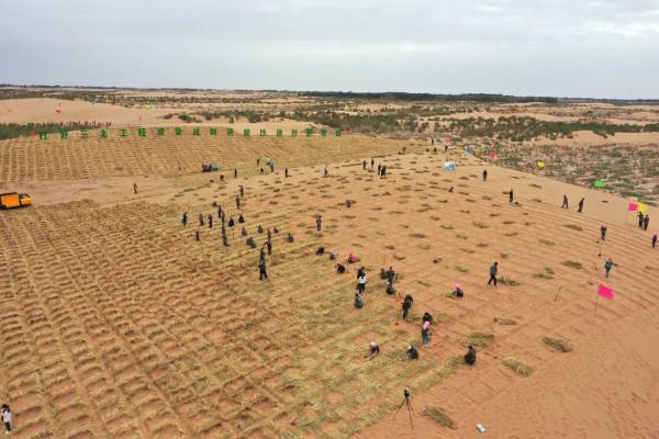 1737685864815004.jpg 11.jpg