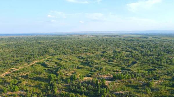 1737685872196712.jpg 12.jpg