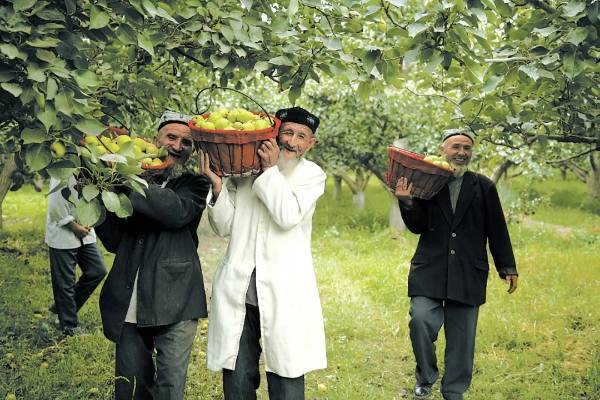 1737685878352490.jpg 13.jpg