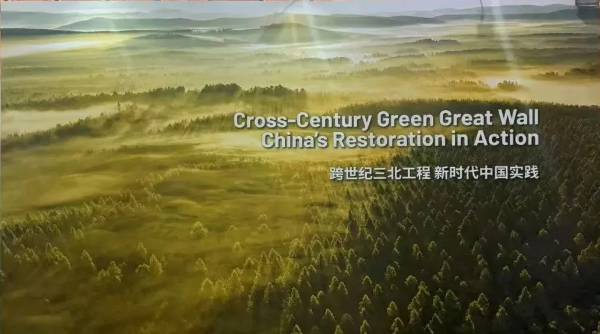 1737685885776617.jpg 14.jpg