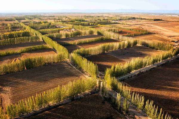 1737685892180620.jpg 15.jpg