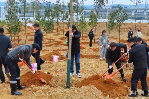 1738746034829013.jpg 1.jpg