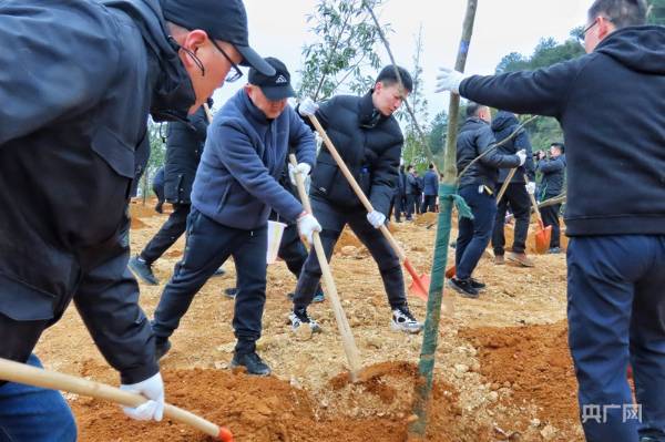 1738746041696462.jpg 2.jpg