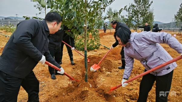 1738746049609995.jpg 3.jpg