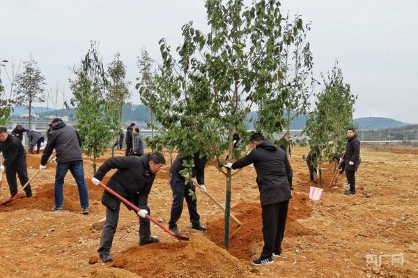 1738746054143927.jpg 4.jpg