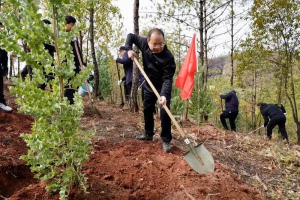 1738812285910534.jpg 2 (1).jpg