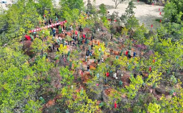 1738812298407391.jpg 3 (1).jpg