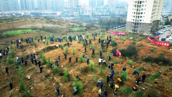 1738893842583288.jpg 2 (1).jpg