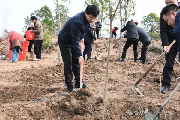 1738896784691288.jpg 640 (1).jpg