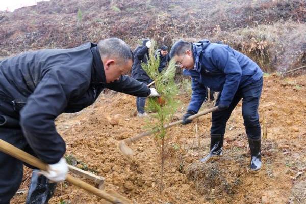 1738907915528237.jpg 2.jpg