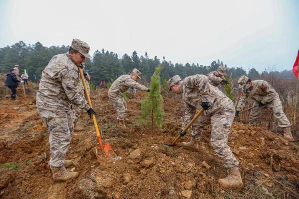 1738907924412216.jpg 3.jpg