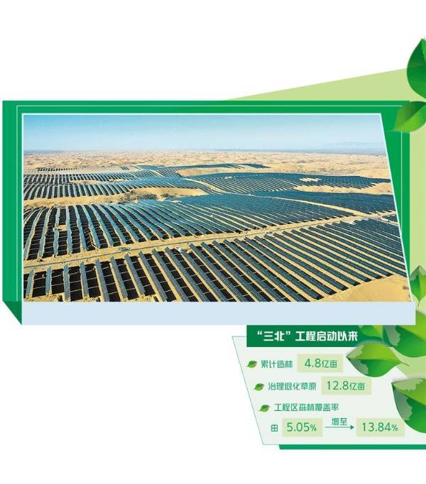 1739756667630104.jpg 5 (1).jpg