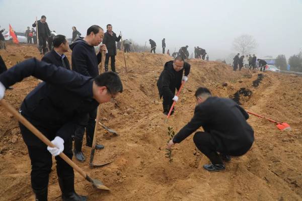 1739855867965745.jpg 3 (1).jpg