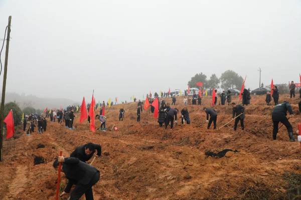 1739855873830799.jpg 4 (1).jpg