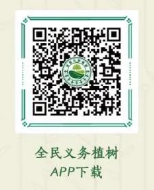 1739858234165349.jpg 1739858234165349.jpg