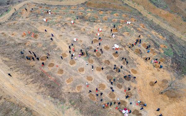 1739941903792115.jpg 1 (1).jpg