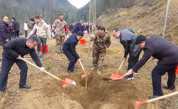 1739941907464060.jpg 2 (1).jpg