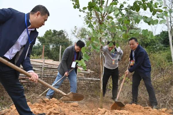 1740367807119557.jpg 5.jpg