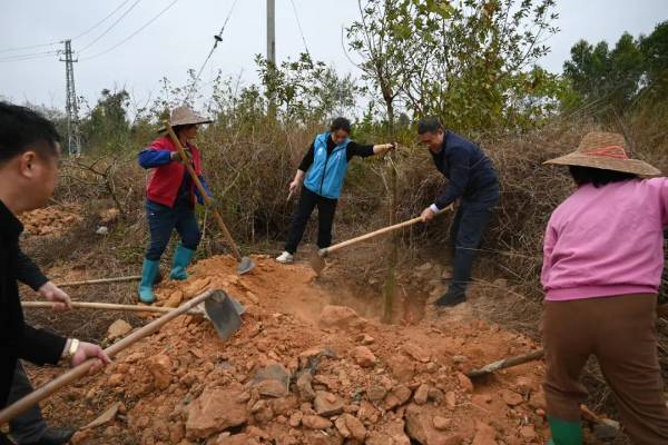 1740367814460431.jpg 6.jpg