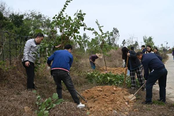 1740367821944535.jpg 7.jpg