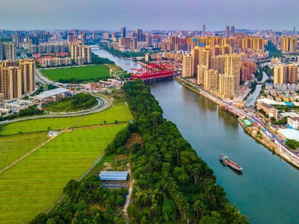 1740368893836942.jpg 2 (1).jpg