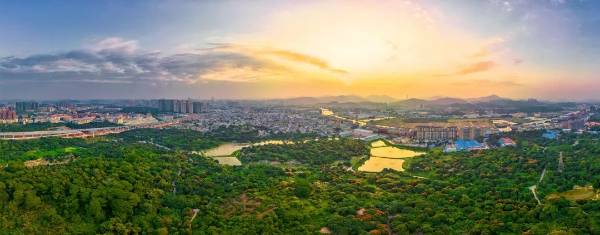 1740368907389423.jpg 4 (1).jpg