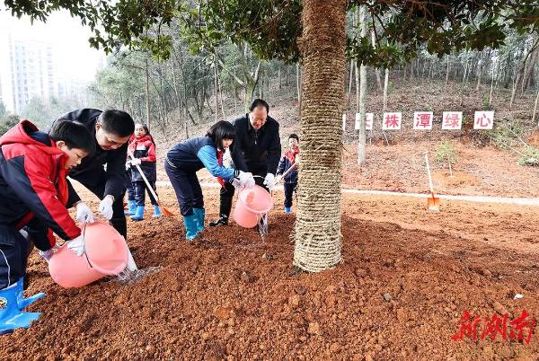 1740713070584496.jpg 2 (1).jpg