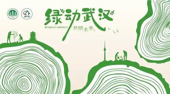 1740969589619799.jpg 1 (1).jpg