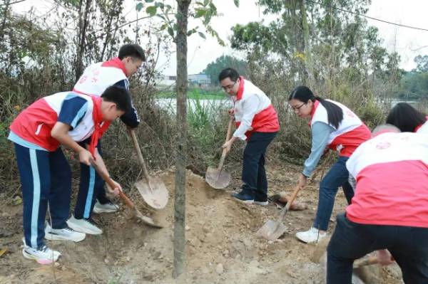 1741231785229634.jpg 2.jpg