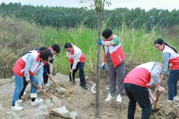 1741231788147445.jpg 3.jpg