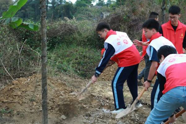 1741231800523050.jpg 4.jpg