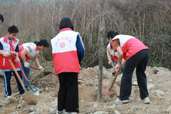 1741231803186519.jpg 5.jpg