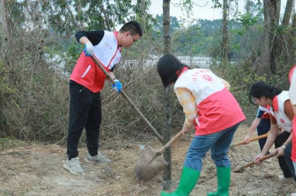 1741231807406506.jpg 6.jpg