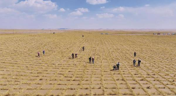 1741313603231535.jpg 1 (1).jpg