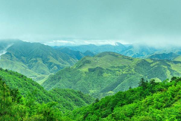 1741315741404912.jpg 1 (1).jpg