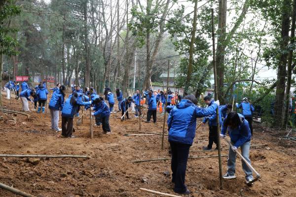 1741672317266059.jpg 1 (1).jpg