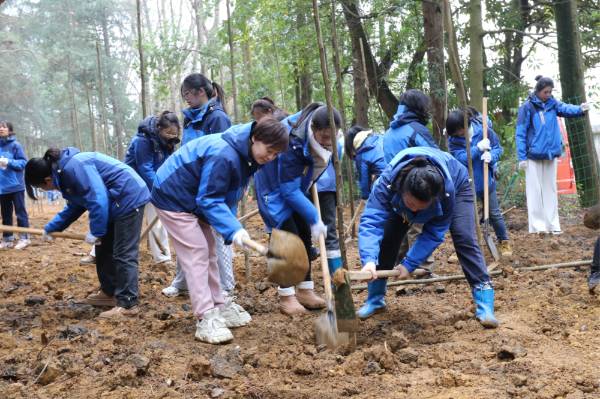 1741672324646859.jpg 2 (1).jpg