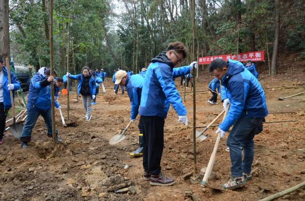 1741672332749762.jpg 3 (1).jpg