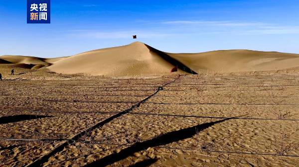 1741672962647592.jpg 1 (1).jpg